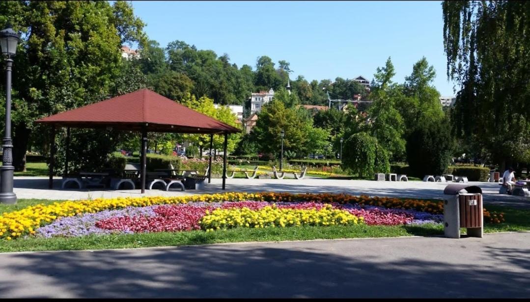 Camere In Regim Hotelier Braşov Dış mekan fotoğraf